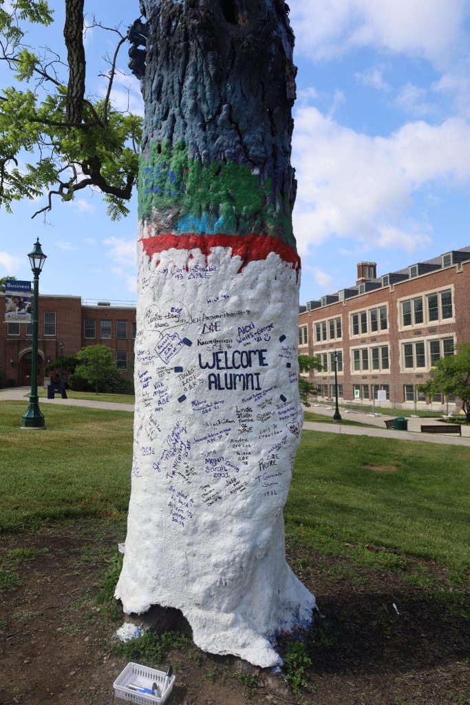 The Alumni Tree at the 2026 SUNY Geneseo Reunion Weekend