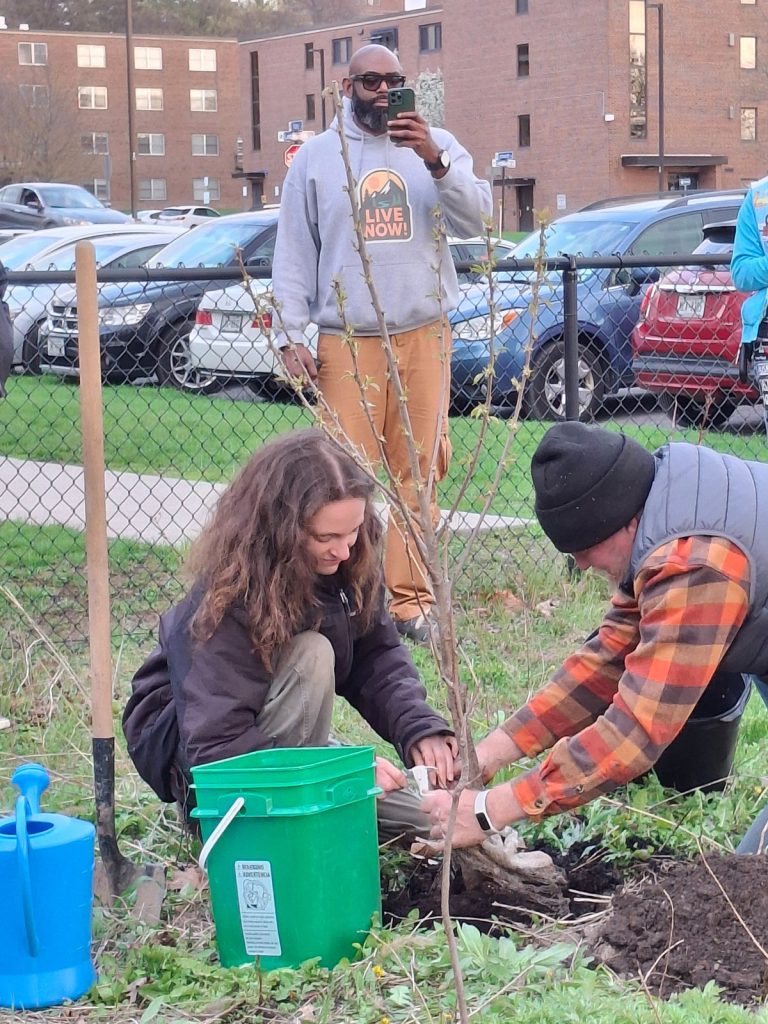 Dan Dezarn and student from Sustainabilities Studies Program planting the cherry tree - 2026 Earth Day Celebration